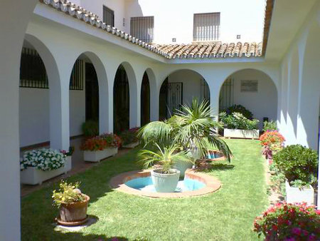 Andalusian patio with plants in the midday sun