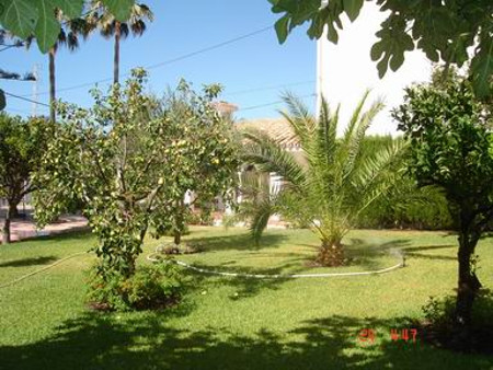 Jardin grande con espacio, cesped y plantas mediterraneas